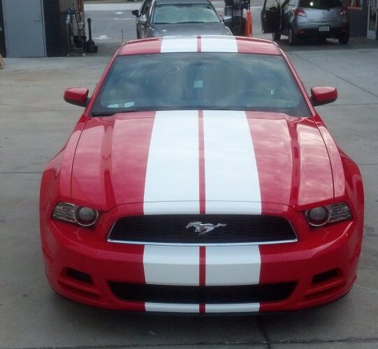 mustang_redwht_630