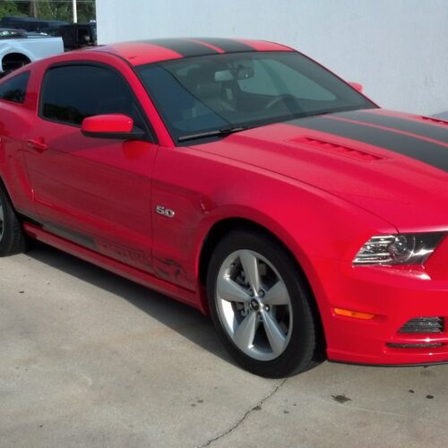 mustang_redblk_822