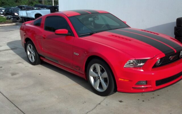 mustang_redblk_822